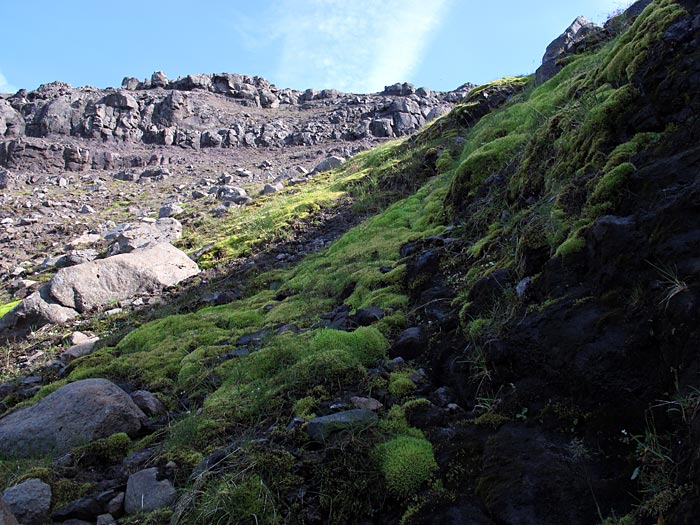 Djúpavík. Hiking, but only a short hike: up to the waterfall. - Only a few meters left. II. (6 August 2012)