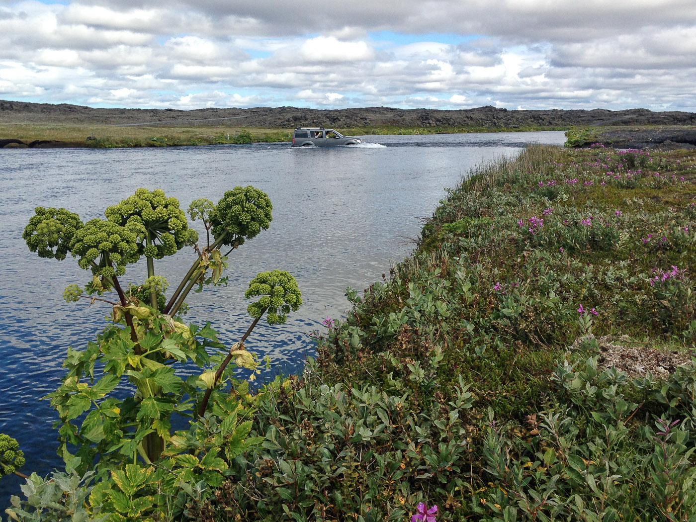 Northern Iceland - On the way to Askja. On vacation. - Tiptop! (24 July 2014)